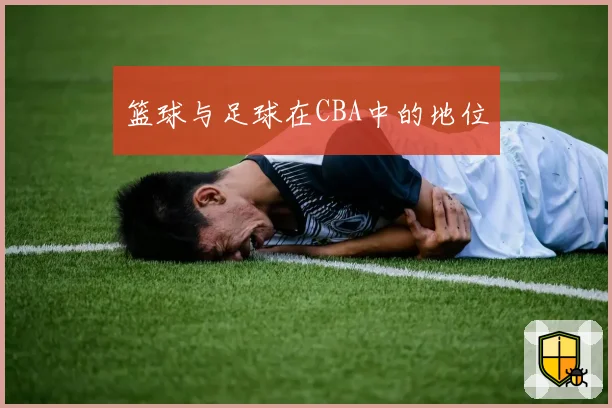 篮球与足球在CBA中的地位