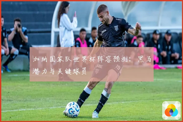加纳国家队世界杯阵容预测：黑马潜力与关键球员