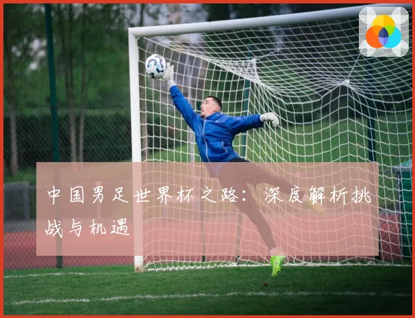 中国男足世界杯之路：深度解析挑战与机遇