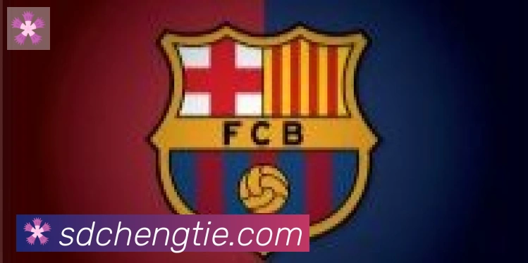 开云app合作伙伴