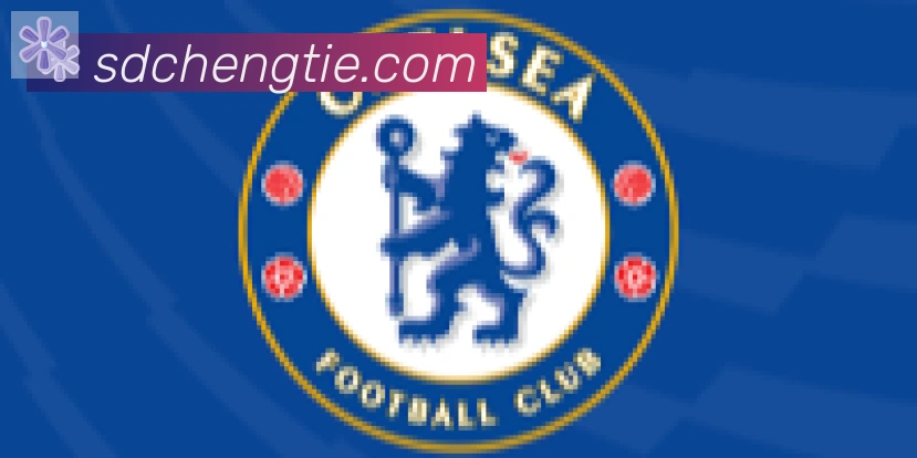 开云app合作伙伴