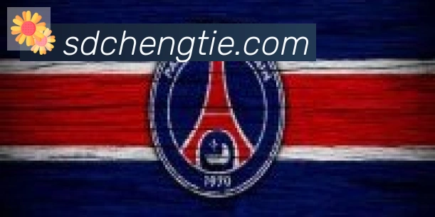 开云app合作伙伴